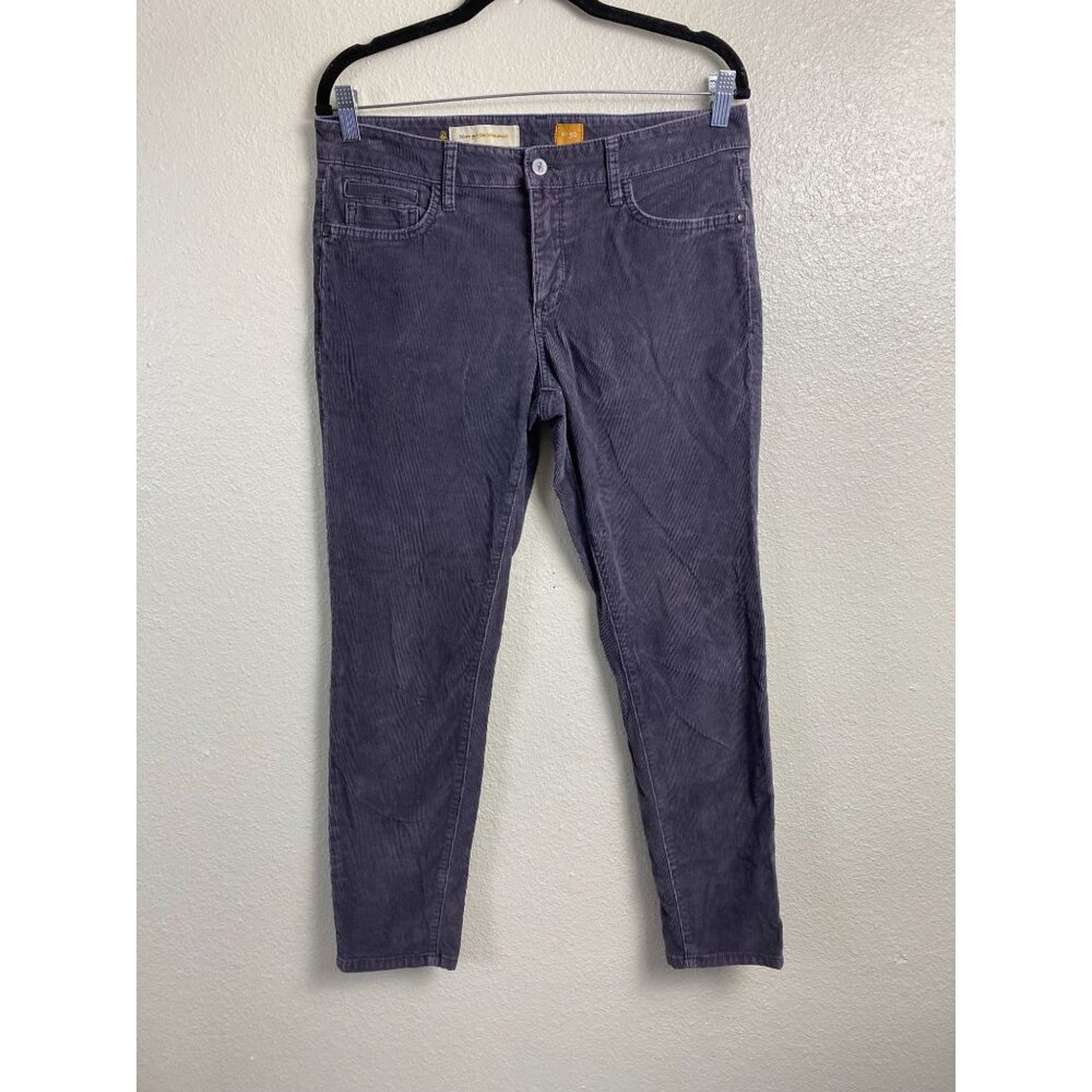 Anthropologie Pilcro Gray Corduroy Skinny Pants Women size 30 Classic Cotton Ble